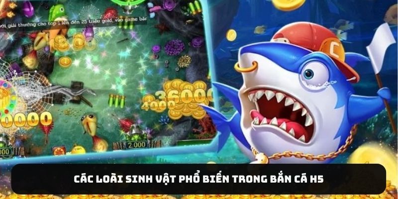 Các loài sinh vật phổ biến trong bắn cá H5