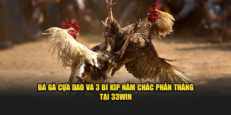 Đá Gà Cựa Dao Và 3 Bí Kíp Nắm Chắc Phần Thắng Tại 33WIN