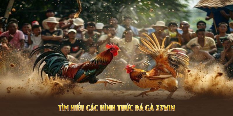 Tìm hiểu các hình thức đá gà 33WIN được hỗ trợ cá cược 